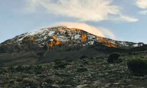 10 days Trekking and safari