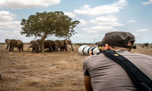 Tanzania Photographic Safari