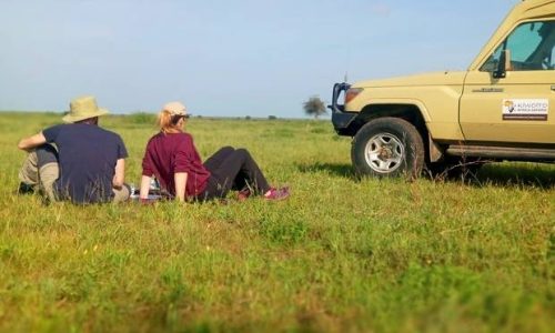 tanzania honeymoon safaris