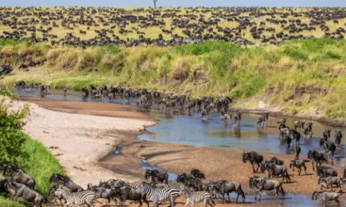 private safari