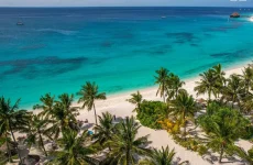 safari and zanzibar