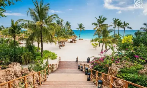 zuri zanzibar
