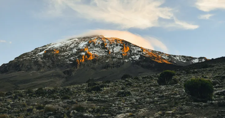 10 days Trekking and safari