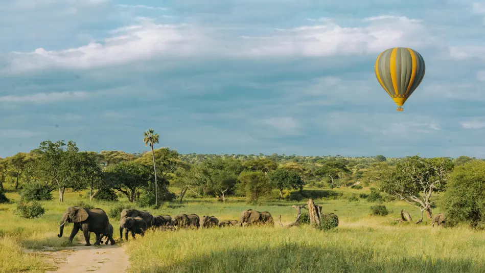 Tanzania safari blog