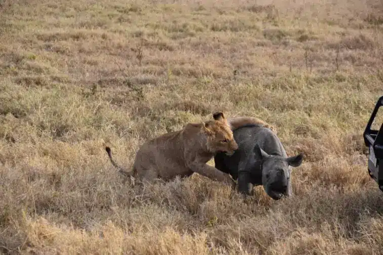 serengeti national park